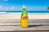 TAJ Gourmet Foods 290ml 6-Pack TAJ Mango Basil Seed Drink, Naturally Refreshing & Cooling, Glass Bottle