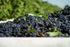 5 (169 oz), Packaging Repacking, Mariella Premium Aged Balsamic Vinegar of Modena, IGP Certified, liters fl Product