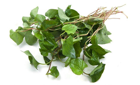 Nature Tea 100% (1 oz) Houttuynia Herb - Dried Houttuynia cordata C/S from Nature