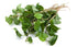 Nature Tea 100% (1 oz) Houttuynia Herb - Dried Houttuynia cordata C/S from Nature