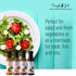 Simple Girl 4 Pack (12 Organic Salad Dressing Variety - Sweet Vinaigrette, Balsamic Vinaigrette, Sweet Mustard