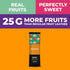 0.88 oz 10 Fruit Snacks by Zest Delites, Fruit Leather, Dried Mango Bars, Healthy Snacks for Adults & Kids, No Sugar