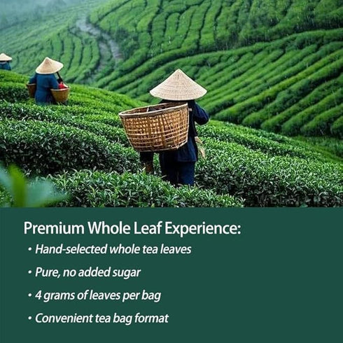 (20 4g PipiTea Organic Oolong Tea Bags - Whole Leaf, bags) Selected Tea Leaves - Helps lower cortisol levels, relieve