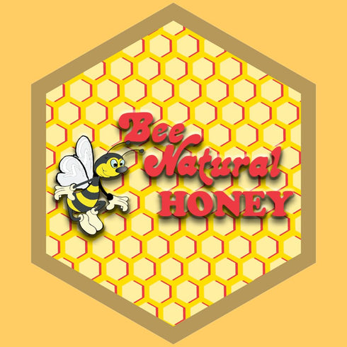(8 Bee Natural South Florida Saw Palmetto Honey | Pure, Unfiltered & Uncooked Honey | Rich, Bold, Citrus & Smoky Flavor
