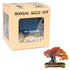 Eve's Garden, Inc Eve's Red Maple Bonsai Seed Kit, Woody, Complete Kit to Grow Red