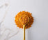 Savory Spice Coastal Cali Fennel Pollen Rub - Seafood Seasoning Dry Rub | Fennel