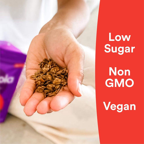 gr8nola 4.5lb CINNAMON CHAI - Healthy, Low Sugar, Vegan Bulk Granola Cereal - Made with Superfoods Cinnamon, Ginger