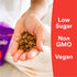 gr8nola 4.5lb CINNAMON CHAI - Healthy, Low Sugar, Vegan Bulk Granola Cereal - Made with Superfoods Cinnamon, Ginger
