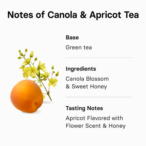 OSULLOC Canola & Apricot Tea - Premium Blended Tea from Jeju, 20 Count Tea Bag Series