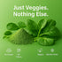 1 LB Confect Spinach Powder | Pure & Natural Vegetable Powder for Smoothies, Baking, Beverages, Juices, Tea & DIY