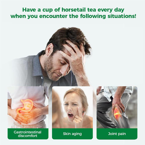 WOTIHA Horsetail 19.2oz Dried Herb - Natural Silica for Hair, Skin & Nails Support - Cola de Caballo Tea - Cut & Sifted