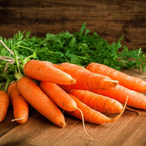 16oz, 2 Pack, 40 Foster's Pickled Carrots in a Jar, Original, Traditional Pickled Carrot Sticks Recipe for over years
