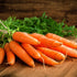 16oz, 2 Pack, 40 Foster's Pickled Carrots in a Jar, Original, Traditional Pickled Carrot Sticks Recipe for over years