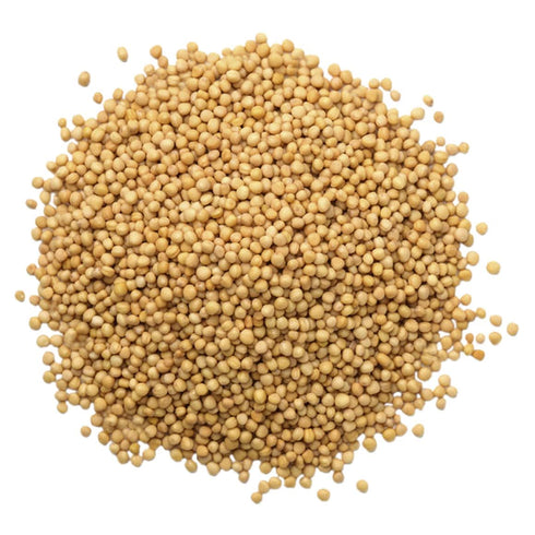 1 (Pack 3) Yellow Mustard Seeds, Pound Bags of Non-GMO Verified, Kosher, Raw, Vegan, Bulk