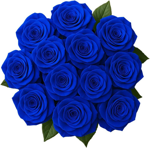 Generic Dozen 12 50CM One Fresh Roses Bouquet, Premium Long-Stem Ecuador Roses, Hand-Tied Floral Arrangement, Fresh Cut