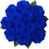 Generic Dozen 12 50CM One Fresh Roses Bouquet, Premium Long-Stem Ecuador Roses, Hand-Tied Floral Arrangement, Fresh Cut