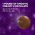 12 oz Madelaine Chocolate Premium Milk Chocolate World Globe Balls - Bag Individually Wrapped Candy Foil Map of the