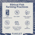 1, 3 3 110g Canned Salmon Fillet in Oil by Fangst, Laks No. Tinned Salmon, Sustainable Canned Fish, Flash Grilled