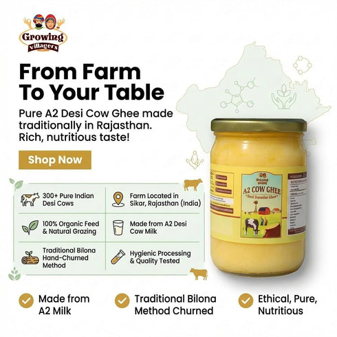 Growing Villagers A2 16.9 oz (500ml) A2 Cow Ghee fl Glass Jar | Traditional Bilona Method Cultured Desi Ghee | Made