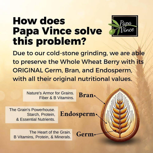 Papa Vince Organic Whole Wheat Non Enriched Rigatoni: Low Gluten Italian Pasta made in Italy from Organic Non GMO