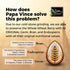 Papa Vince Organic Whole Wheat Non Enriched Rigatoni: Low Gluten Italian Pasta made in Italy from Organic Non GMO