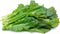 Tender green Mustard Seeds 50 Count, "COOL BEANS N SPROUTS" Brand