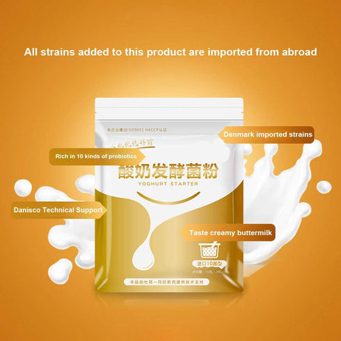 Homemade Yogurt Starter Culture Powder for Creamy Yogurt | Lactobacillus Strains
