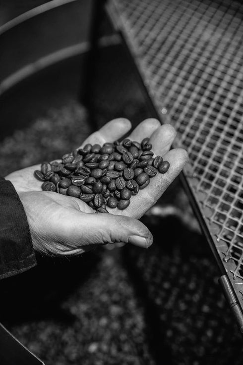 8.8 oz (250g) Bristot Decaf Ground Espresso Medium Roast Italian Coffee Smooth & Bold Flavor For Moka, French Press