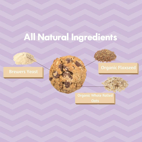 MilkBliss Dark Chocolate Chip Oatmeal Lactation Cookies - 12 oz with Brewers Yeast for Breastfeeding Supply Increase