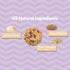MilkBliss Dark Chocolate Chip Oatmeal Lactation Cookies - 12 oz with Brewers Yeast for Breastfeeding Supply Increase