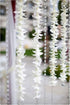 (50 Miami FRESH CUT FLOWERS Orchid Loose Bloom OrchidClub USA by Sunne Tropical DIY Lei, food & drink decoration WHITE)