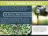 Tassos 17 Organic Extra Virgin Olive Oil, FZ