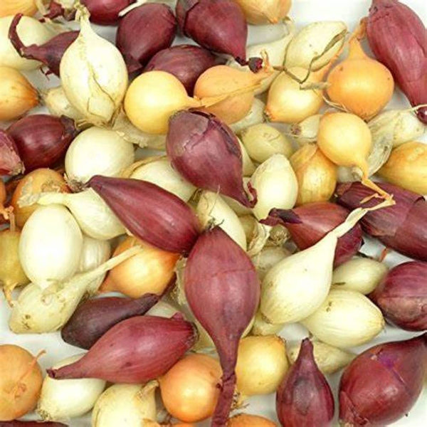 Onion Bulb Sets, Mixed Onion Sets, 200 Count, This is a random
