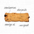 4 Pack Aunt Gussie's - No Sugar Added Wheat Cranberry Orange with Almond Biscuits