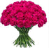 FlowerPrime 50 Purple Carnations - Fresh Natural Cut Flowers