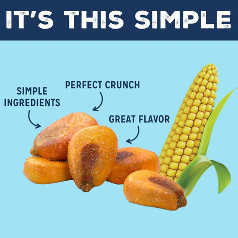 16oz 1 LOVE CORN Sea Salt x Bag - Delicious Crunchy Corn - Healthy Family Snacks - Gluten Free, Kosher, Non-GMO