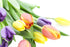 10 KaBloom - Assorted Tulips without vase - Fresh Flowers for Birthday, Valentine's & Mother's Day