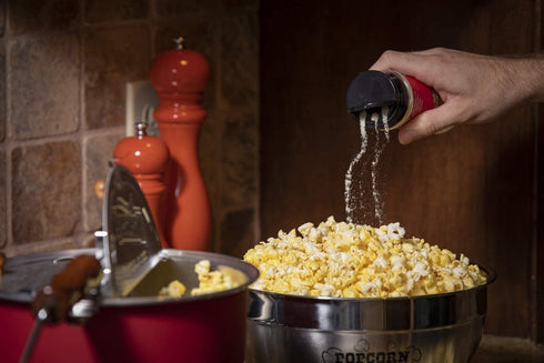 (5 oz) Zesty Cheddar Cheese Popcorn Seasoning - Wabash Valley Farms Cheddar Cheese Powder, Fat Free Cheese Popcorn