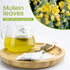 40 Mullein Leaf Tea - Respiratory and Lung Cleanse Herbal Tea, Caffeine Free, Tea Bags