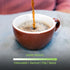 3 Tiny Footprint Coffee - Fair Trade Organic Nicaragua Segovia Dark Roast | Whole Bean Coffee | USDA Organic | Fair