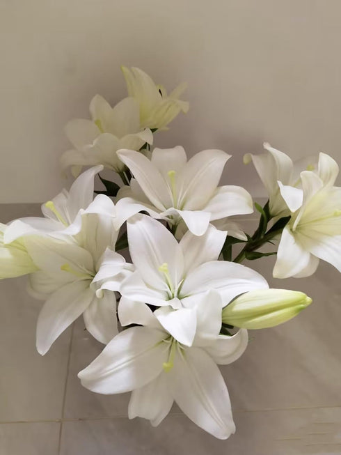 Cassiolina 20) Fresh Cut Asiatic Lily Flowers Elegant Lily Bouquet for Vase Home Decor Wedding Party Floral Arrangement