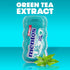50 Count (Pack 6) Mentos Pure Fresh Sugar-Free Chewing Gum with Xylitol, Wintergreen, Bulk