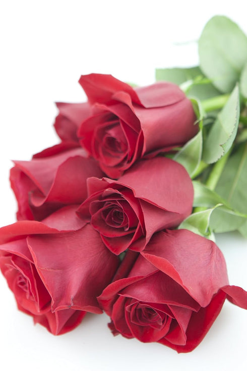 6 KaBloom - Red Roses without vase, Fresh Flowers for Birthday, Valentine's & Mother's Day