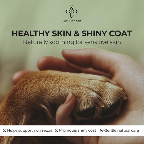 250g/8.8oz Immune, 400+ Manuka Honey for Dogs Premium New Zealand Dog Food Topper & Natural Treat | Raw Honey for Dogs