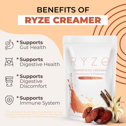 6 30 RYZE SUPERFOODS Probiotic Coffee Creamer with Organic Adaptogenic Mushrooms & Probiotics for Energy, Focus