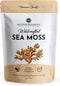 Wildcrafted Sea Moss - Healthy Irish Raw Sea Moss from St. Lucia, 4oz Dry Makes 60-80oz Seamoss Gel