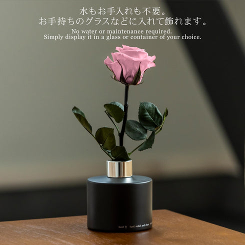 RiRo preserved flower, a single rose, red, gift, celebration, anniversary, birthday, arrangement, flowergift