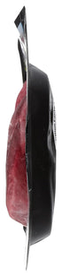 Great Range Bison 12 OZ Bison Tenderloin