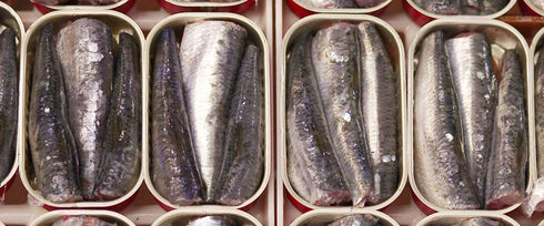 Porthos 3 125 Sardines in olive oil tins x g, / Portugal