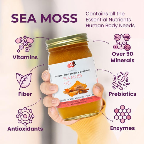90 (16 oz.) Healthy Herbs Sea Moss Gel (Turmeric) Wildcrafted from Jamaican St Lucia Gold Seamoss | Wild-Harvested